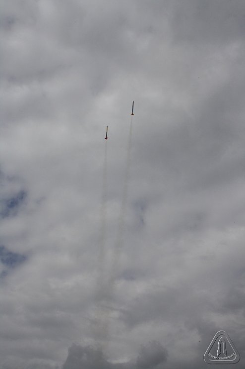 2013 Svojek Mirek Topinka